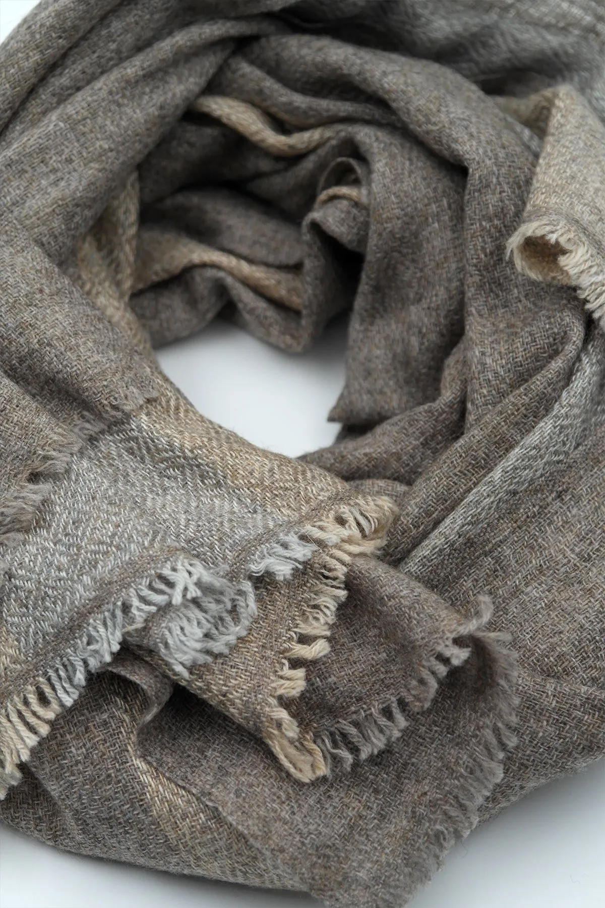 Beige and Grey color Pashmina Shawls for Women