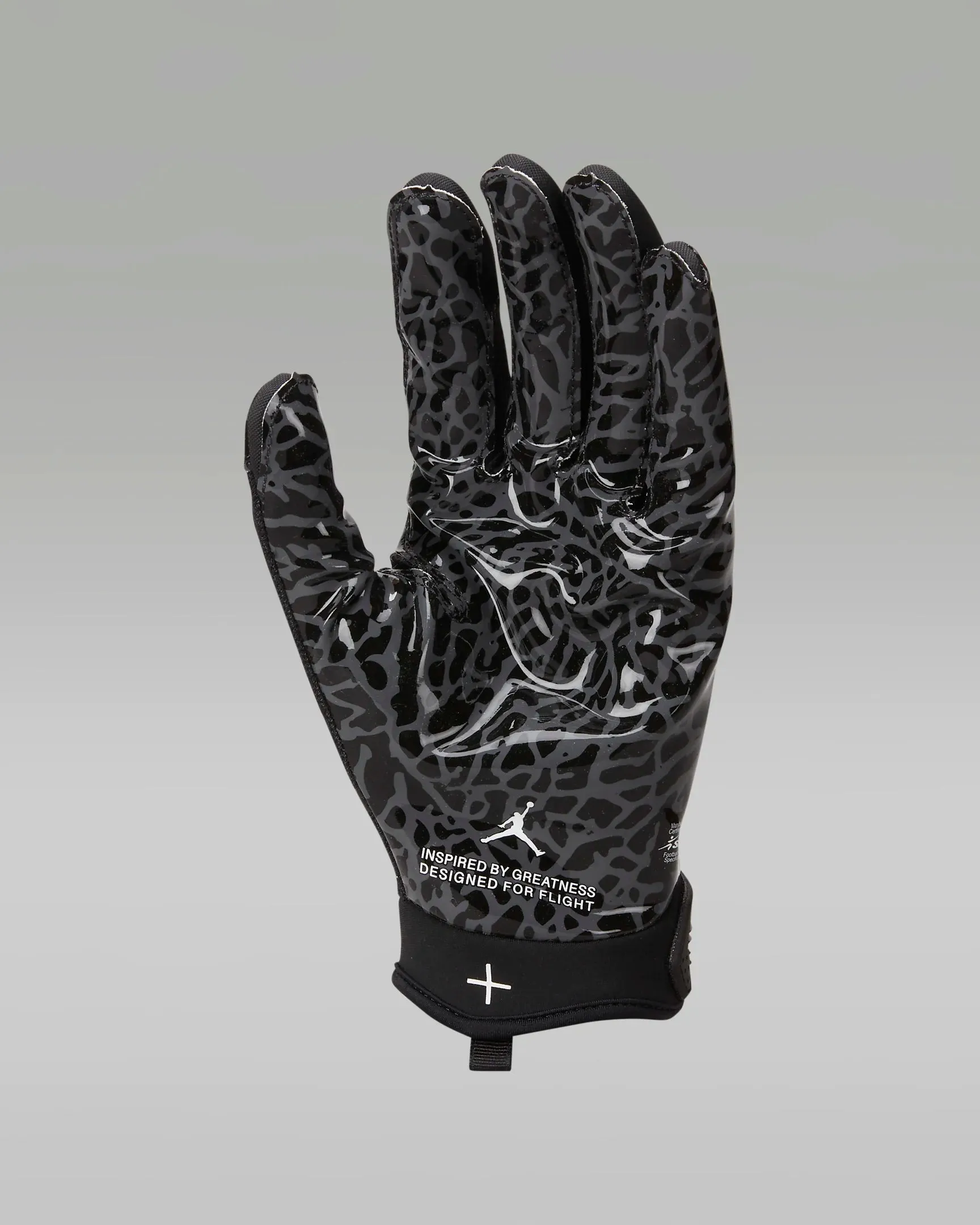 Jordan Fly Lock Football Gloves | Black