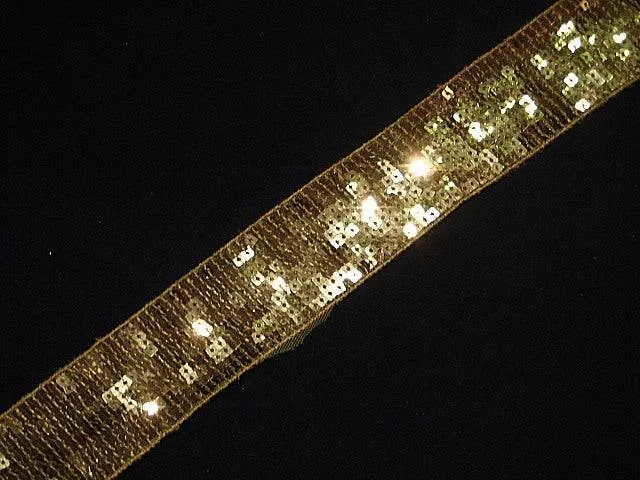 Non Elastic Sequinned Trim